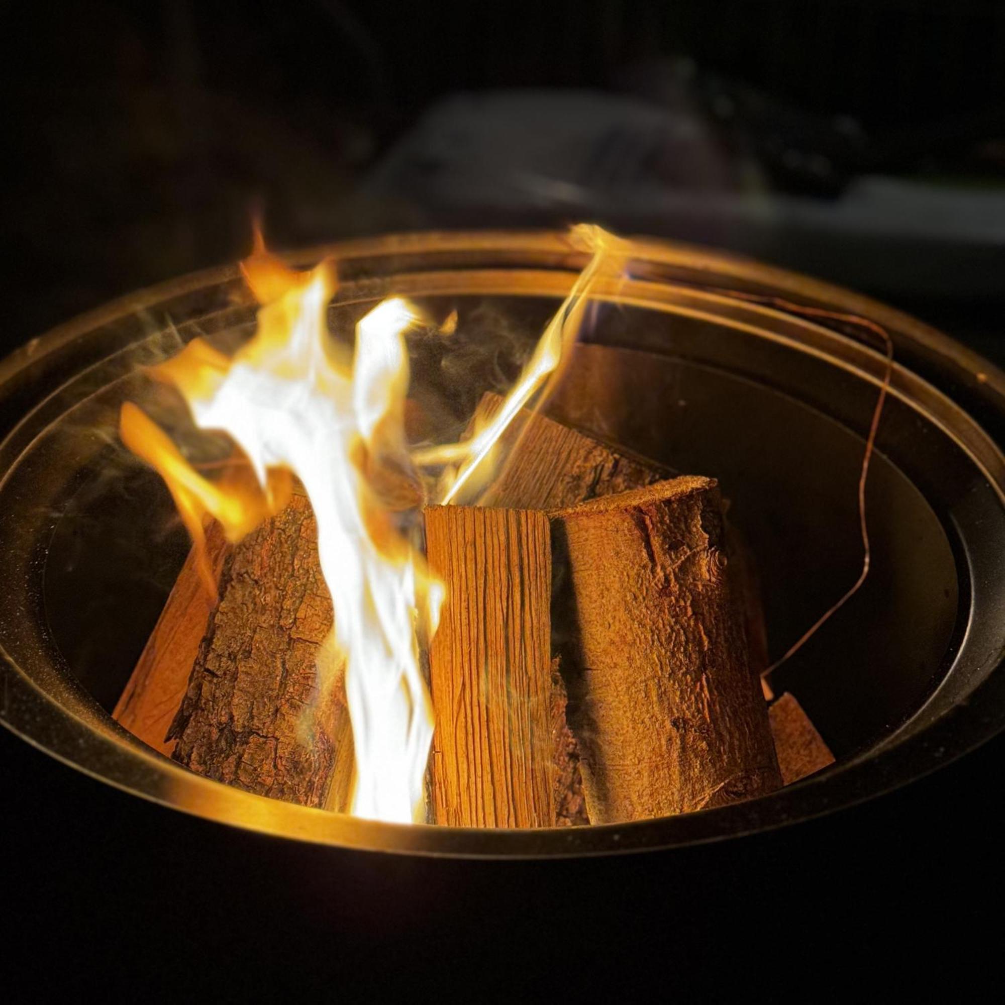 Greenhouse Living Apartment Fagus Mit Terrasse Und Feuerstelle - 6 Minuten Nach Winterberg - 4 Minuten Zur Ruhrquelle - Wandern - Mountainbike Fahren - Reisen Mit Hund & Natur Geniessen Медебах Экстерьер фото