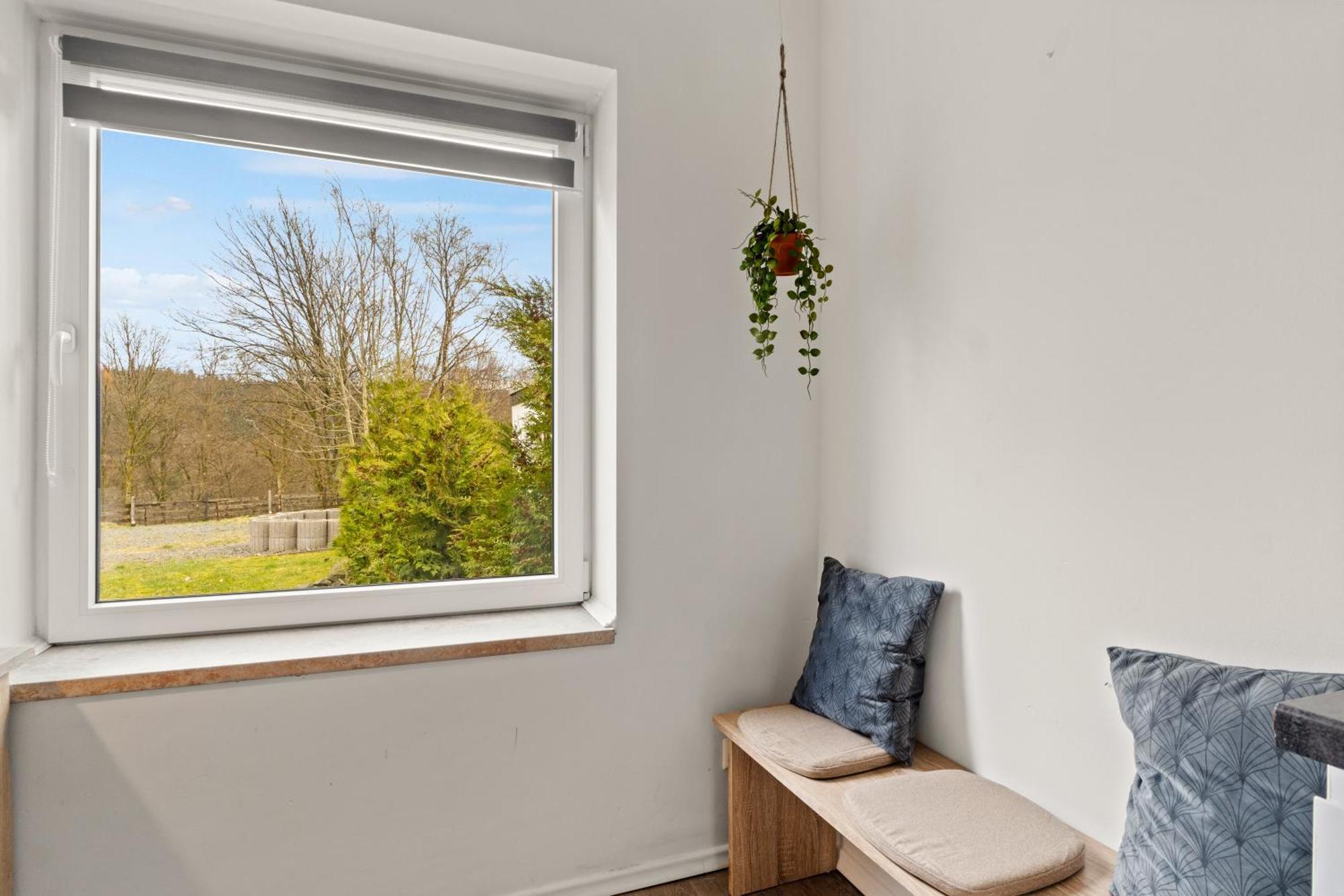 Greenhouse Living Apartment Fagus Mit Terrasse Und Feuerstelle - 6 Minuten Nach Winterberg - 4 Minuten Zur Ruhrquelle - Wandern - Mountainbike Fahren - Reisen Mit Hund & Natur Geniessen Медебах Экстерьер фото