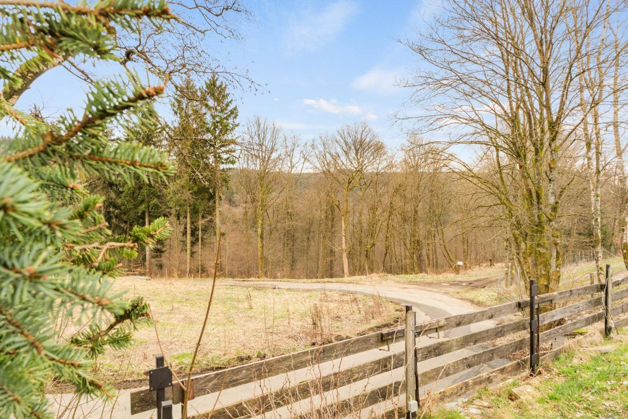 Greenhouse Living Apartment Fagus Mit Terrasse Und Feuerstelle - 6 Minuten Nach Winterberg - 4 Minuten Zur Ruhrquelle - Wandern - Mountainbike Fahren - Reisen Mit Hund & Natur Geniessen Медебах Экстерьер фото